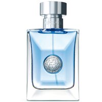 Versace туалетная вода Versace pour Homme, 50 мл, 100 г