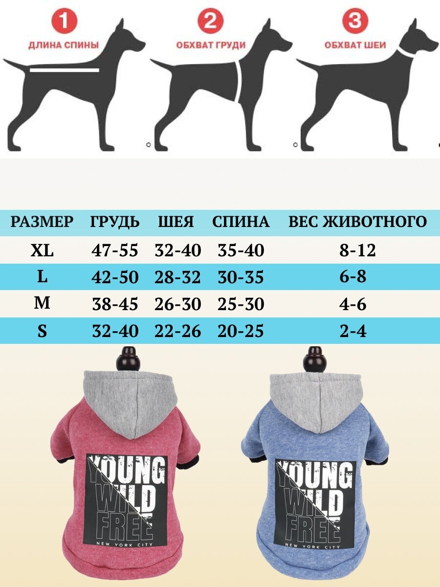 Толстовка для собак мелких, средних и крупных пород, кошек, котов. Худи для собак и кошек. Кофта. Одежда для животных. Размер-L - фотография № 7