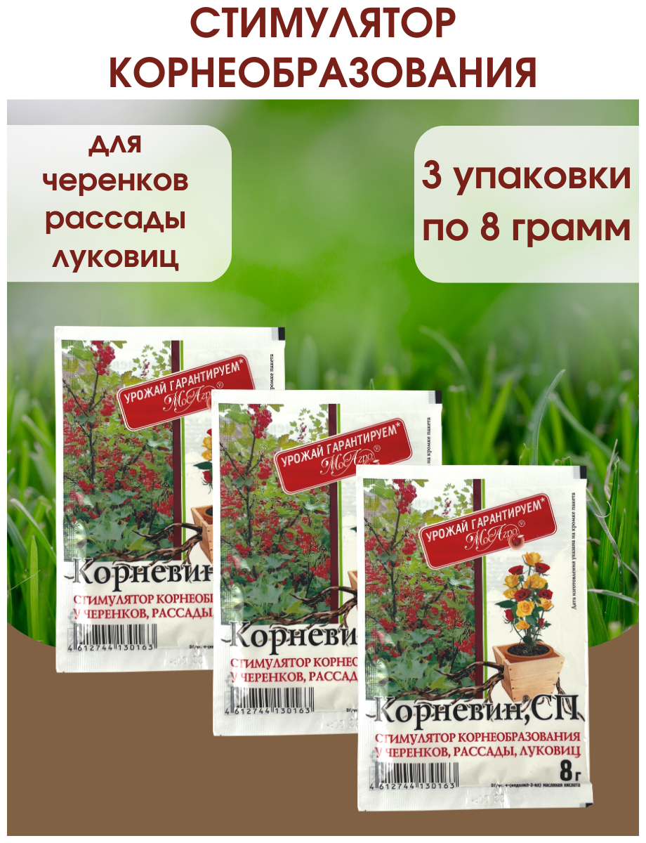 Корневин Стимулятор образования и роста корней, Упаковка - 8 гр, 3 Упаковки