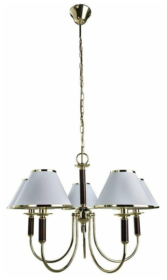 Подвесная люстра Arte Lamp Catrin A3545LM-5GO