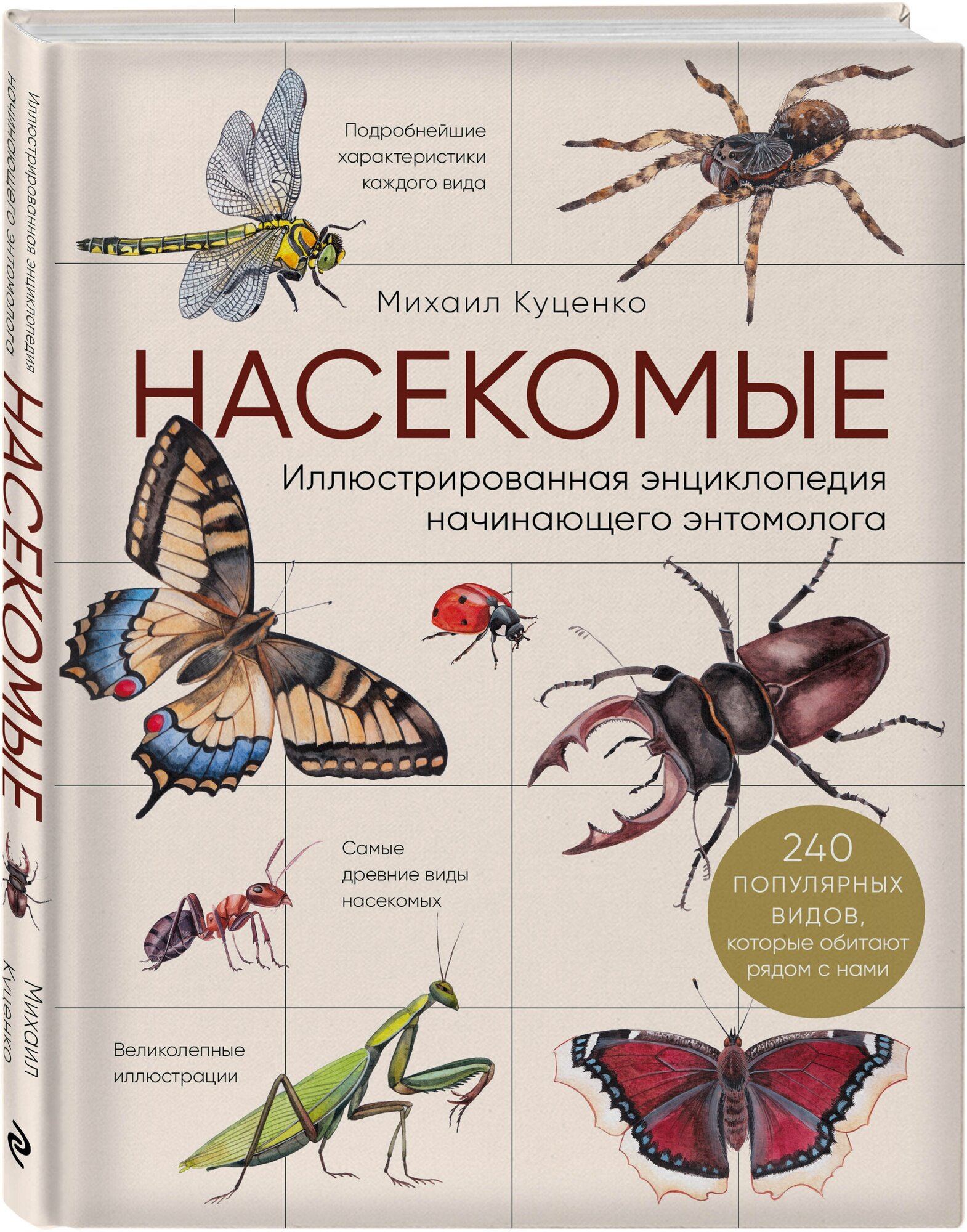 Насекомые. Иллюстрированная энциклопедия начинающего энтомолога. 240 популярных видов - фото №1