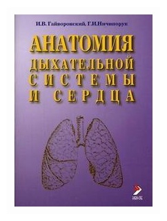 "Анатомия дыхательной системы и сердца"