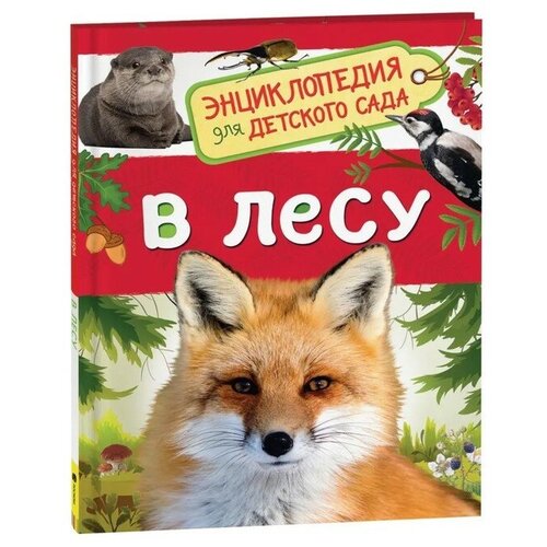 Росмэн Энциклопедия для детского сада «В лесу» энциклопедии росмэн большая энциклопедия для детского сада