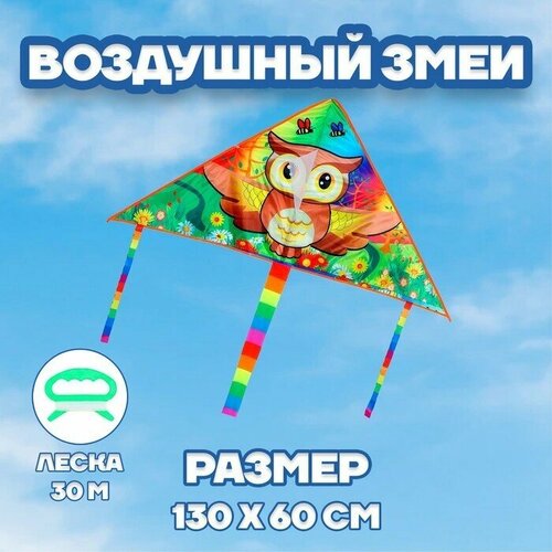 Воздушный змей «Сова»