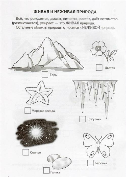 Знакомимся с окружающим миром (для детей 5-6 лет) - фото №9