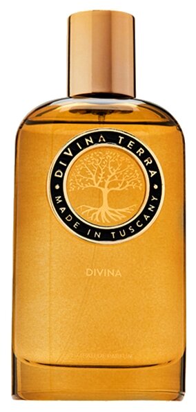 DiVina Terra духи Divina