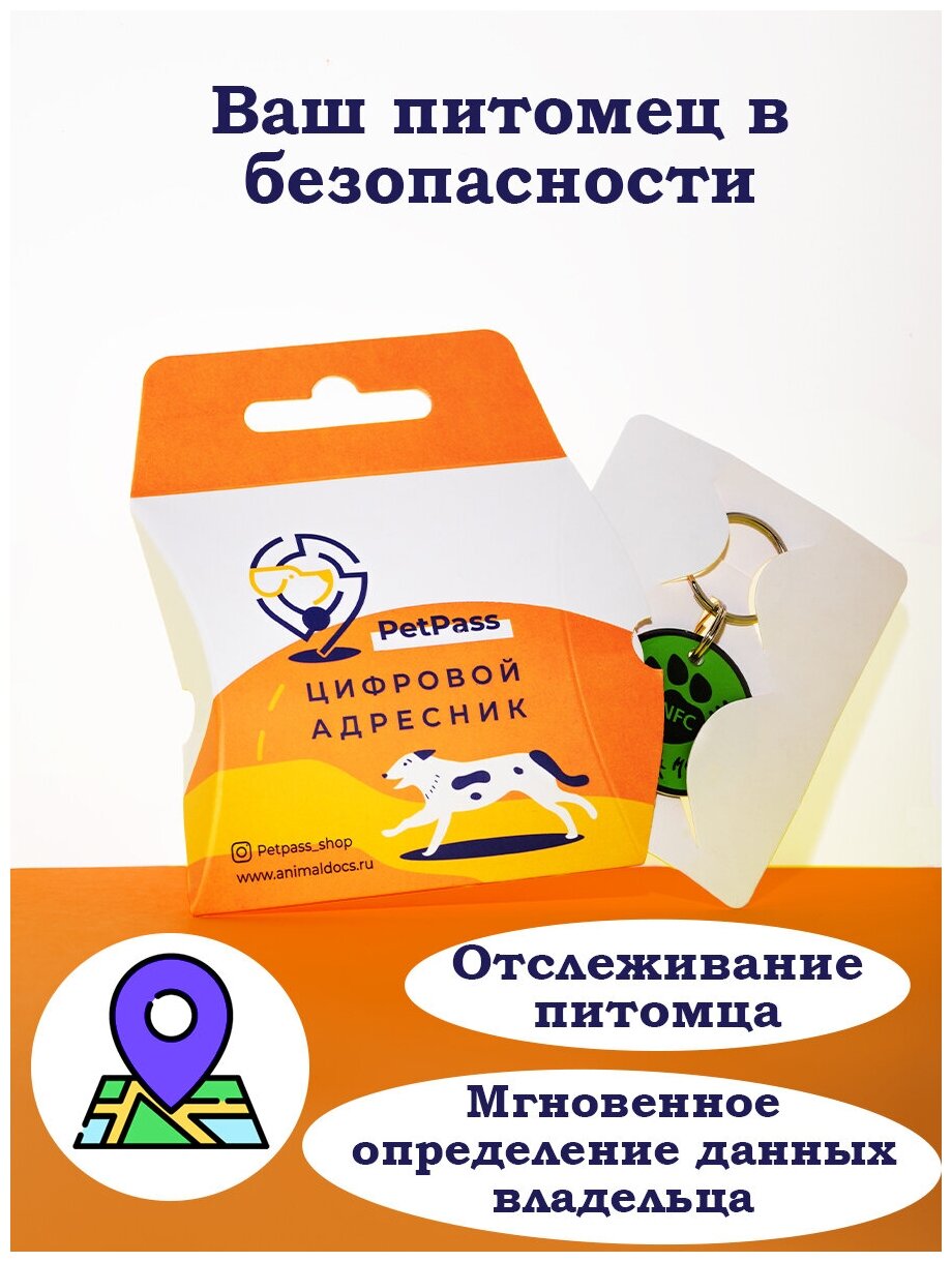 Адресник для котов и кошек PetPass QR код + NFC - фотография № 3