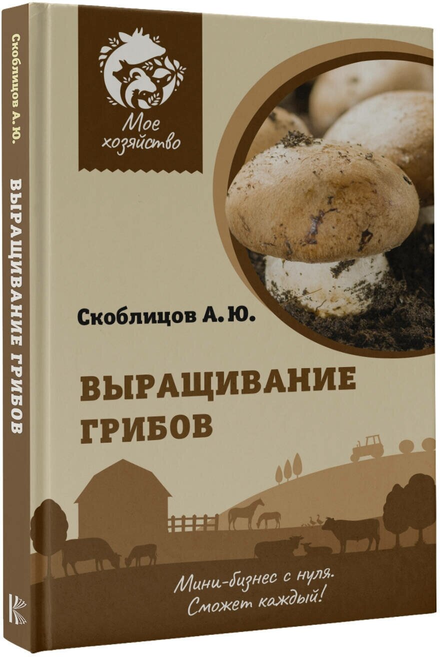 Выращивание грибов. Мини-бизнес с нуля - фото №2