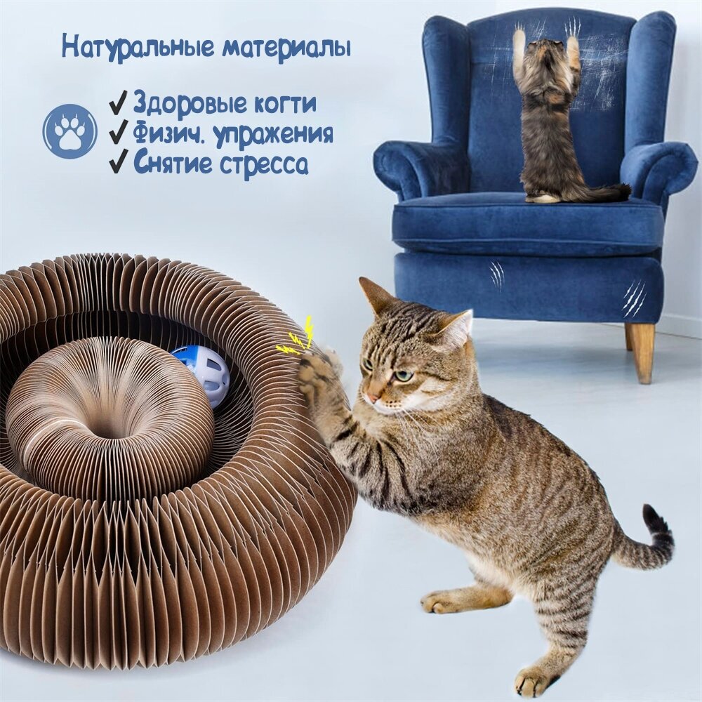 Складная магнитная игрушка-когтеточка для кошек с шариком и мятой для котов. Подарочный набор "Рыбка" - фотография № 2