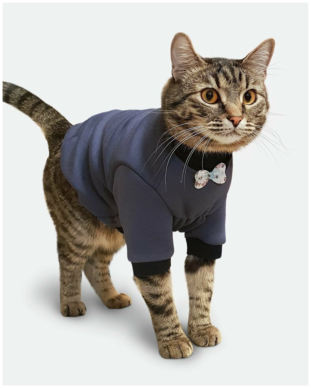 Толстовка одежда для кошек сфинкс "Джентльмен" - фотография № 3