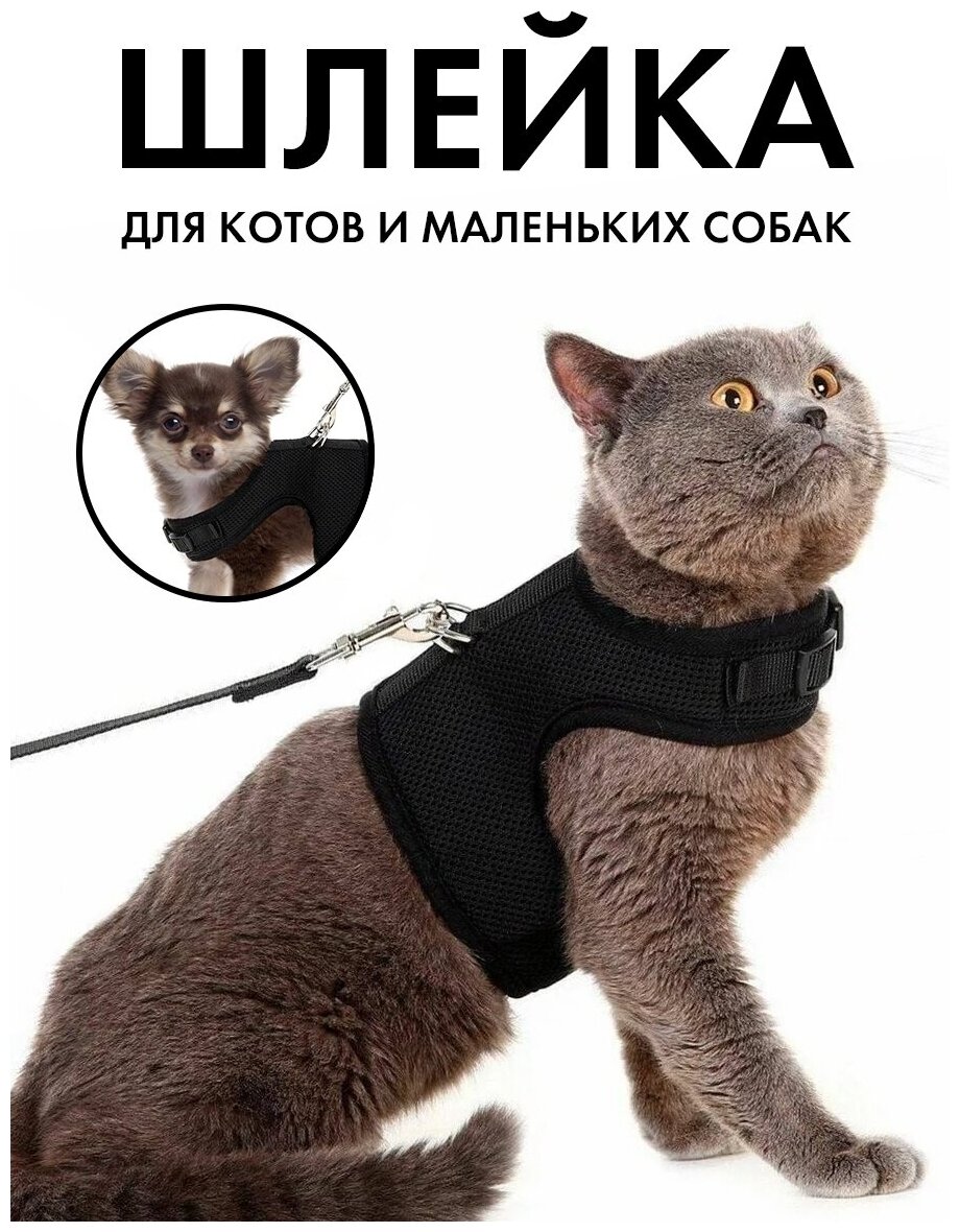 Шлейка для кошек с поводком 1.5 м для прогулки / Шлейка для кроликов и собак мелких пород / черная XL - фотография № 1