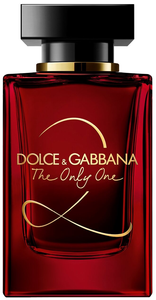 d&g the only one 2