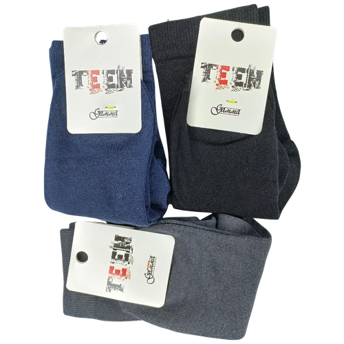 Носки Гамма, 3 пары, размер 24, черный, серый
