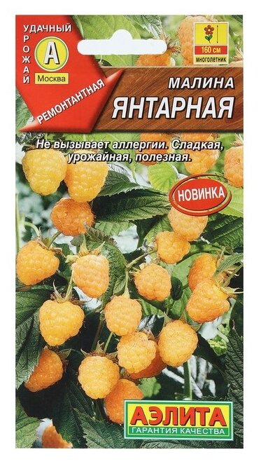 Семена Агрофирма АЭЛИТА Малина Янтарная 0.05 г
