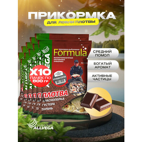 Прикормка для рыбалки ALLVEGA Formula крупная плотва 10 пачек по 0.9 кг