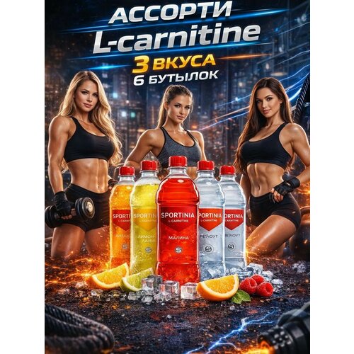 Спортивный напиток Sportinia L-Carnitine Ассорти из 6ти вкусов 0.5 л / 6 бут.