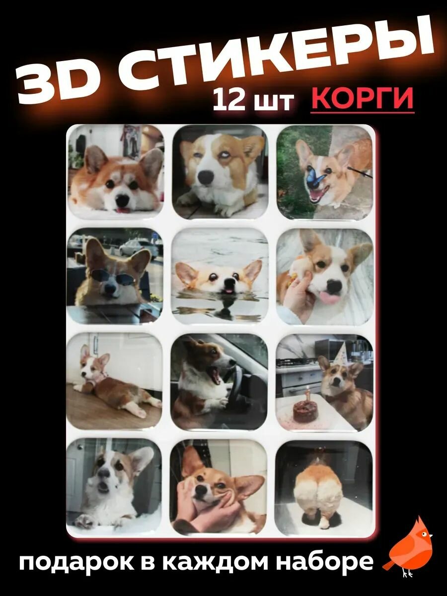 3d стикеры на телефон Корги