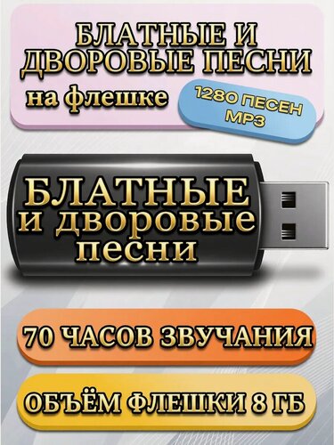 Изображение товара Блатные и дворовые песни на флешке (1280 треков)
