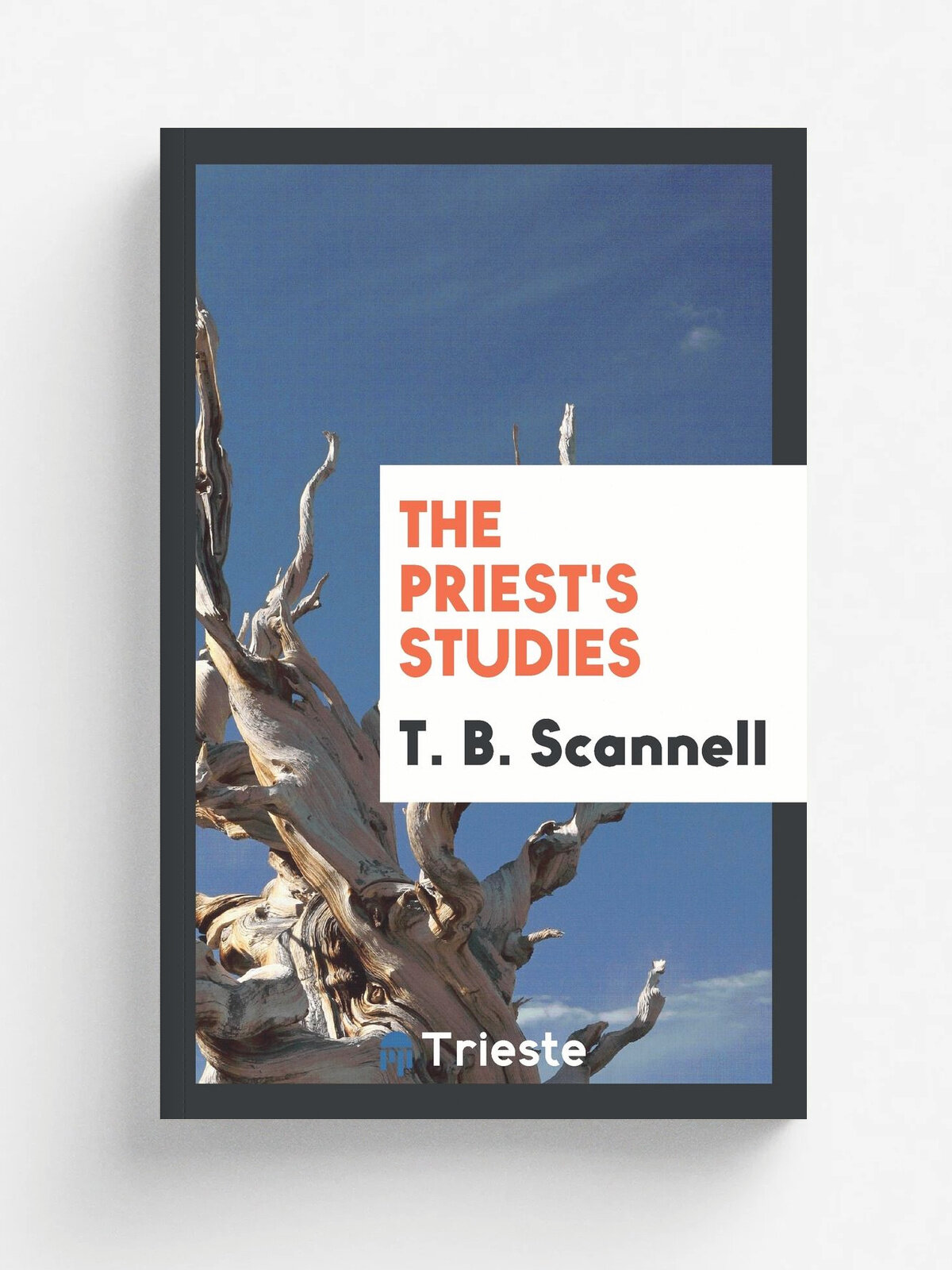 The priest's studies