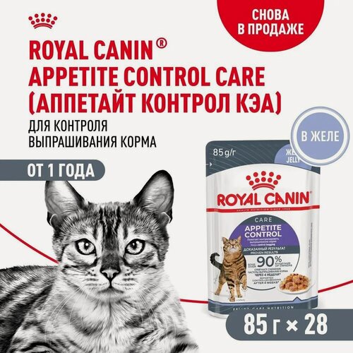 Изображение товара Влажный корм для кошек Royal Canin Appetite Control Care, регуляция голода, (в желе), 28шт х 85гр