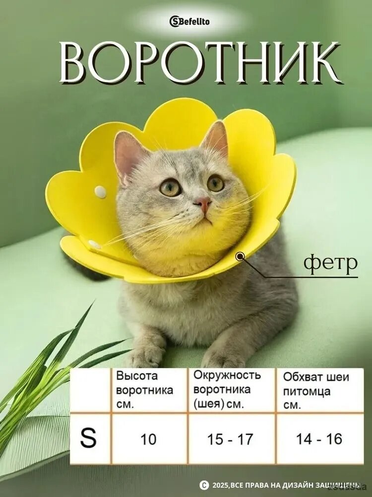 Съёмный воротник