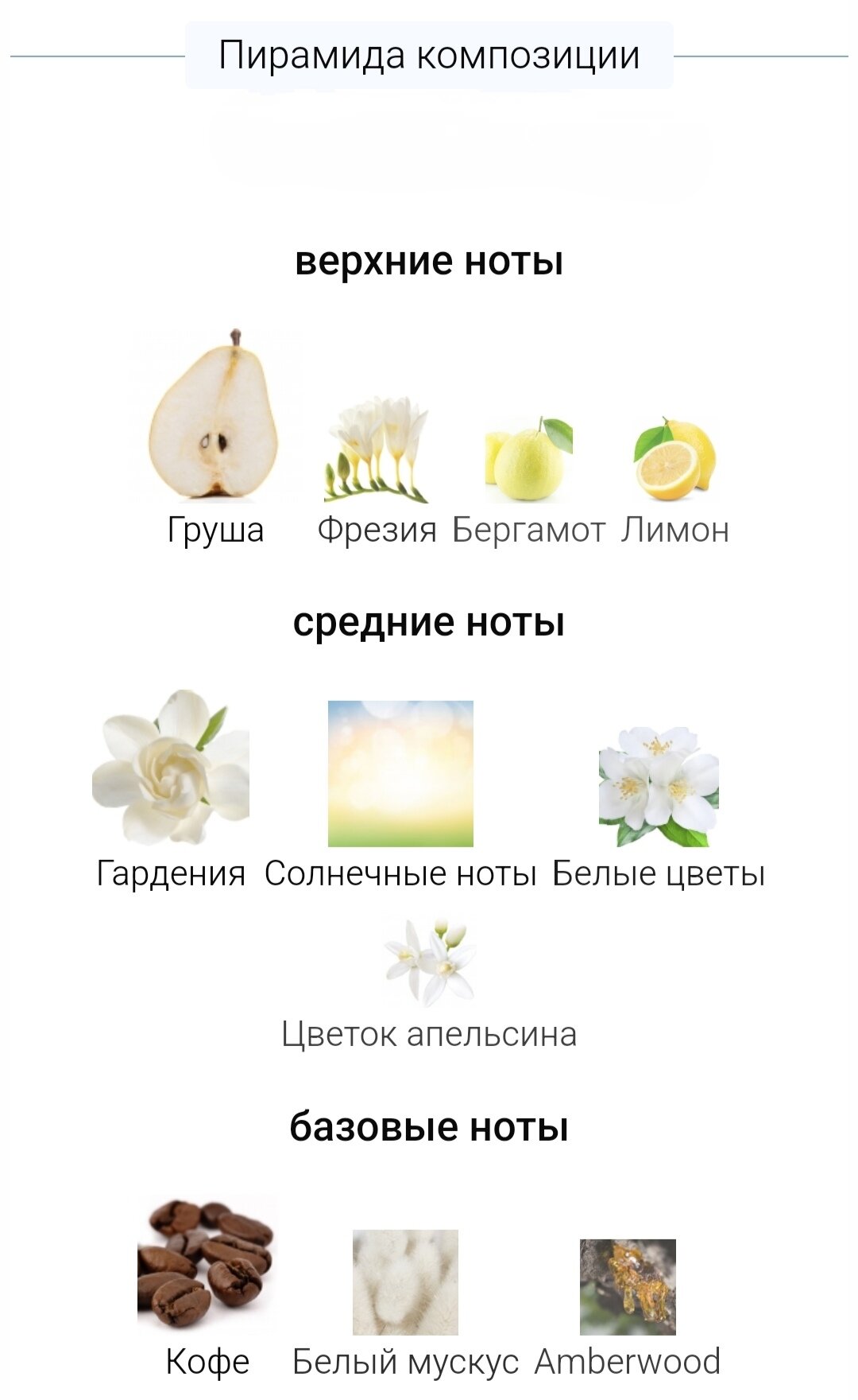 Духи Black Opium Floral Shock — фото 1