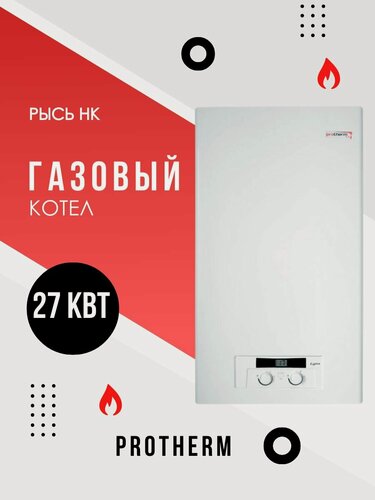 Изображение товара Котел газовый настенный Protherm Рысь НК 27