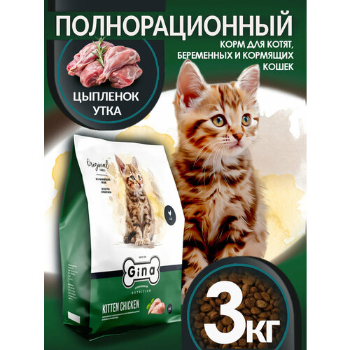 Корм сухой для котят, беременных и кормящих кошек Gina Kitten Chicken, цыпленок, утка, 3 кг