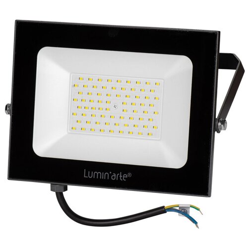 Прожектор светодиодный уличный Luminarte 100 Вт 5700K IP65 холодный белый свет