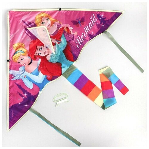 Воздушный змей Мечтай Принцессы 70 x 105 см 765₽