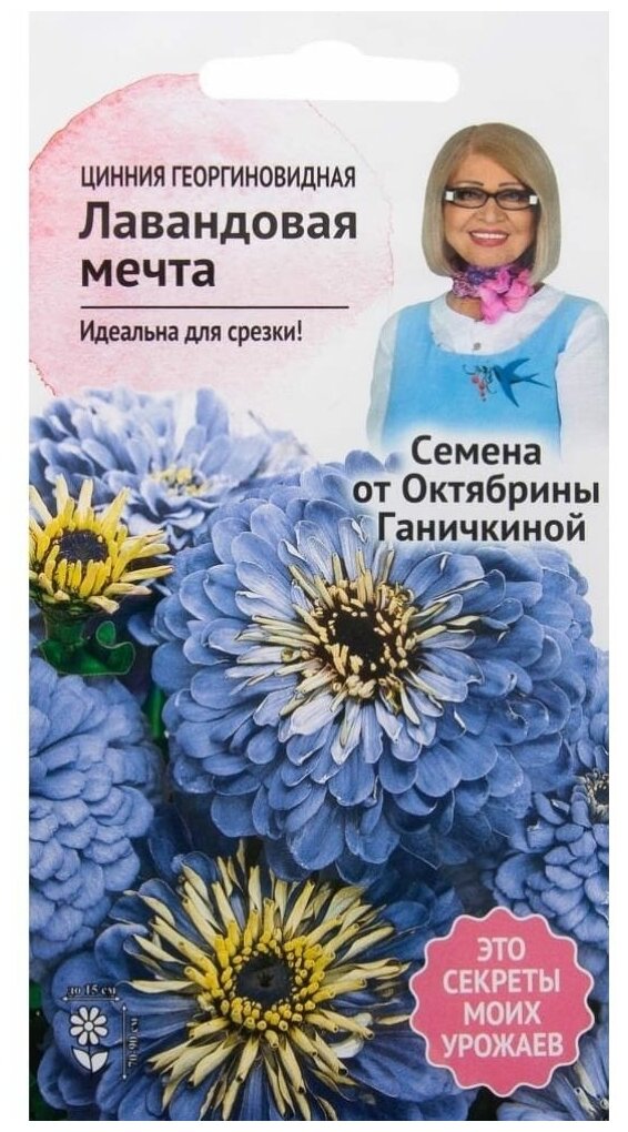 Цинния 