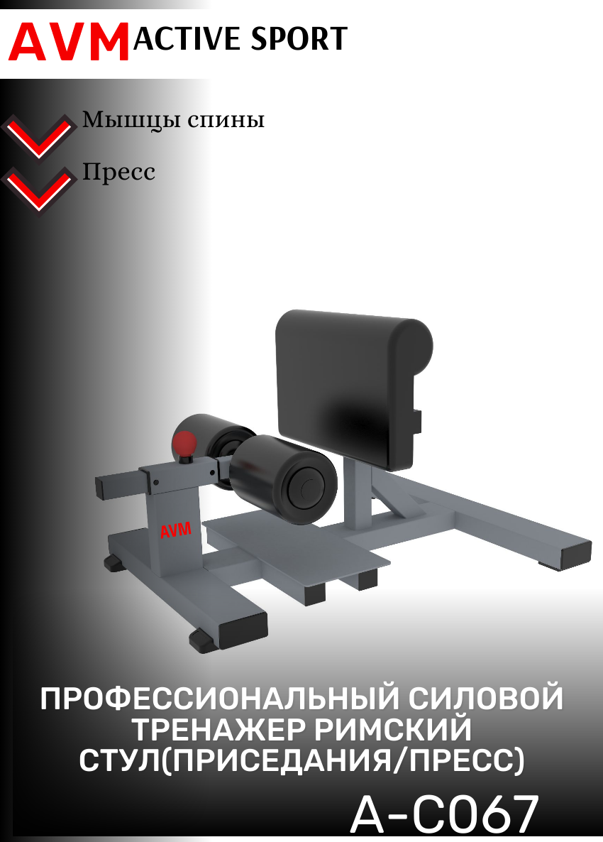 Профессиональный тренажер для зала Римский стул(Приседания/Пресс) AVM A-C067