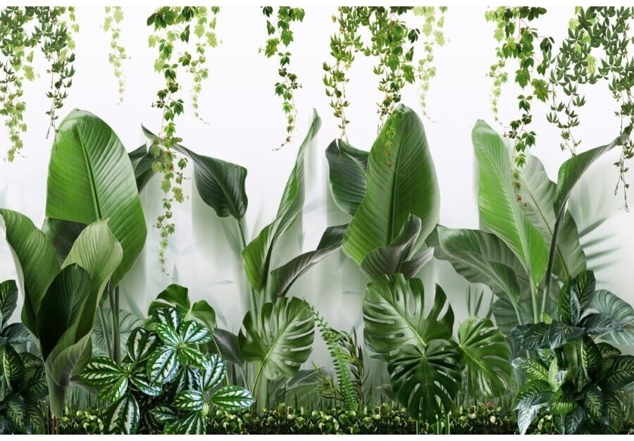 Фотообои 3d З Тропические Листья Папоротник Джунгли Сад