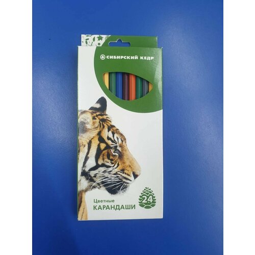 Набор цветных карандашей 24 цвета 
