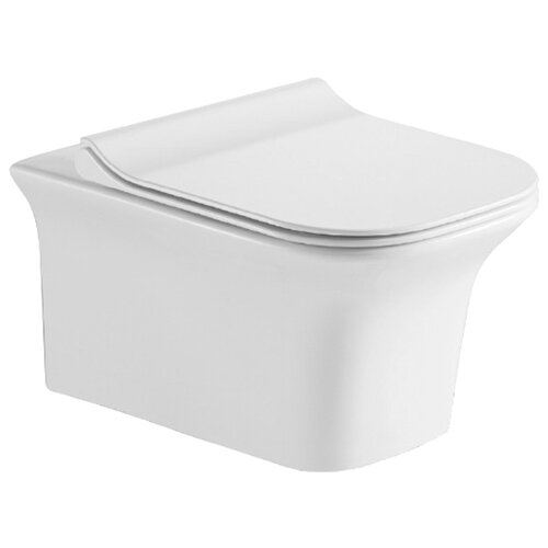 фото Чаша унитаза подвесная esbano