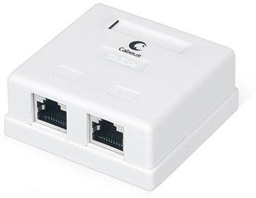 Cabeus WS-8P8C-Cat.5e-SH-2 Розетка компьютерная RJ-45(8P8C), категория 5e, экранированная, двойная, внешняя, Dual IDC