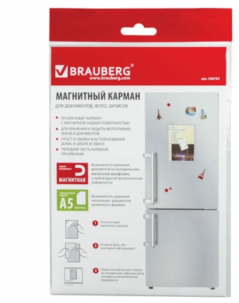 BRAUBERG    , , ,  5, 236793