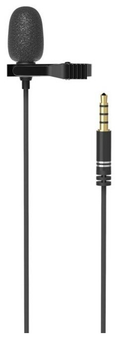 Микрофон RITMIX RCM-110 Black, в комплекте держатель-клипса, разъем 3.5 мм, кабель 2 м