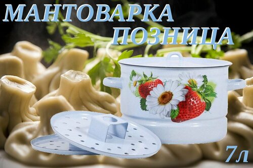 Мантоварка-пароварка Лысьвенские эмали, Эмалированная сталь, 2 яруса, 7 л, Позница