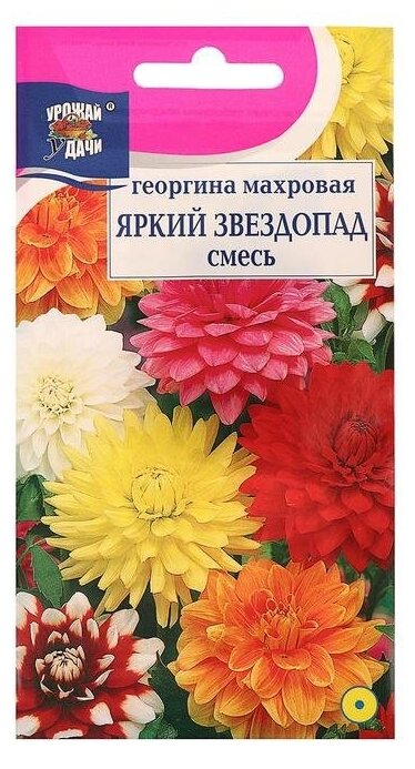 Семена цветов Цв Георгина Смесь "яркий звездопад" Махровая02 гр