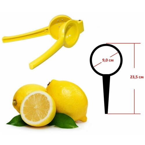 Пресс для цитрусовых 23х90 см желтый 39900₽