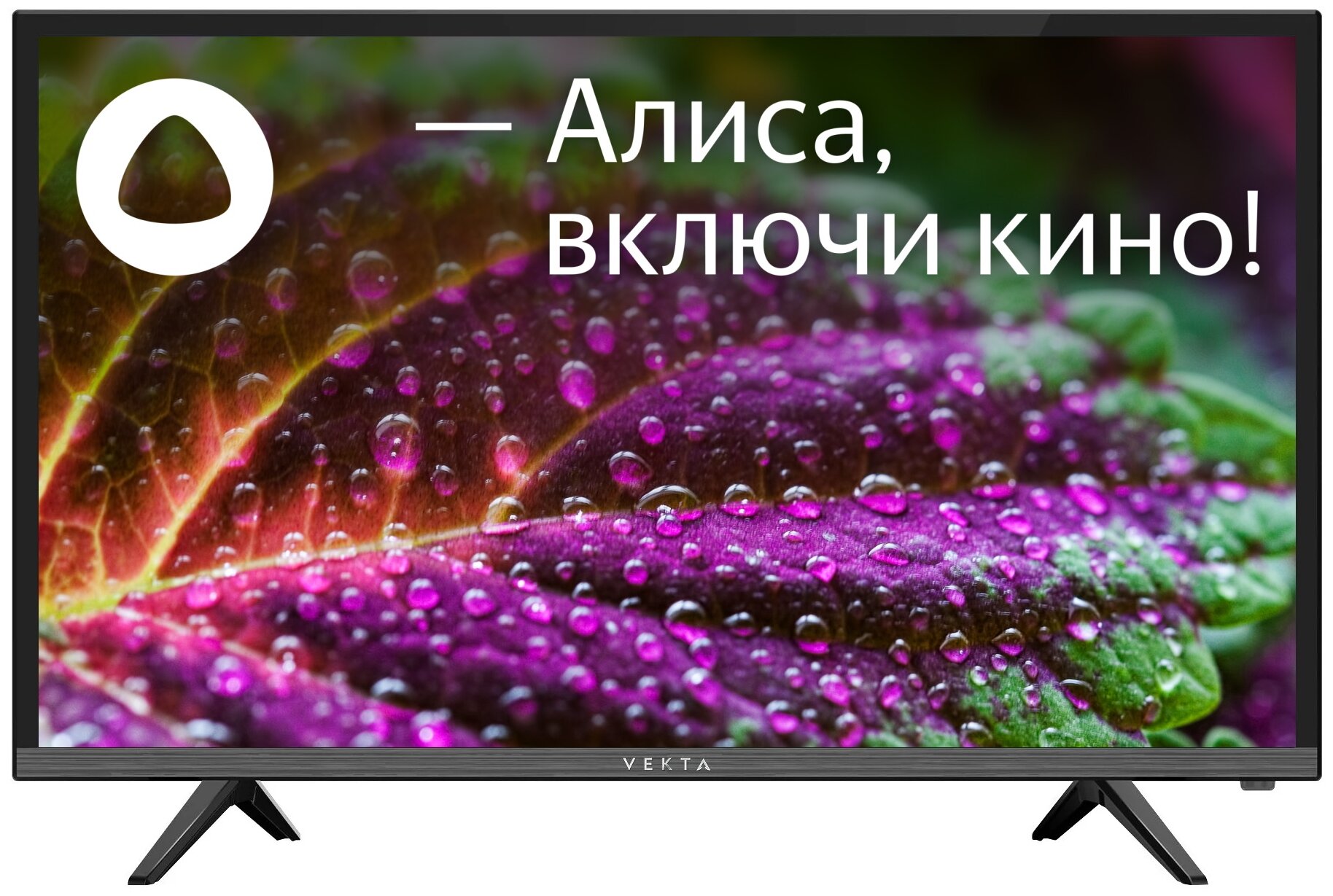 24" Телевизор VEKTA LD-24SR4815BS 2021 LED, HDR на платформе Яндекс.ТВ, черный