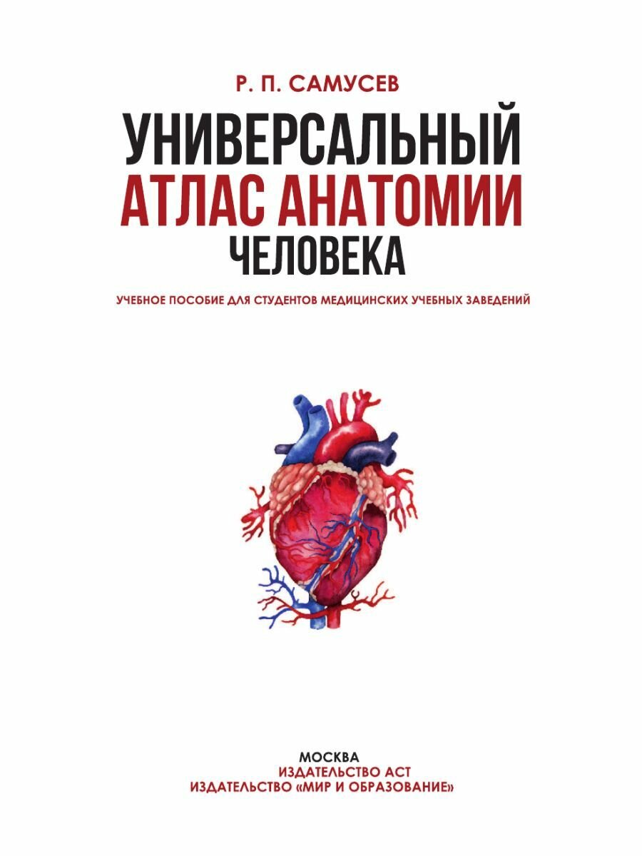 Универсальный атлас анатомии человека с цветными иллюстрациями - фото №9