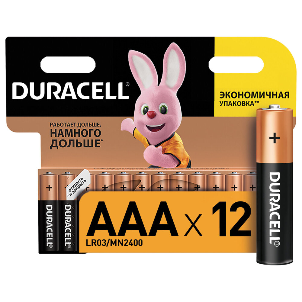 Батарейки комплект 12 шт, DURACELL Basic оригинал, AAA (LR03, 24А), алкалиновые, мизинчиковые — фото 1