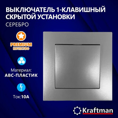 Выключатель одноклавишный скрытой установки 10А IP20 серебро серия СТ 669₽