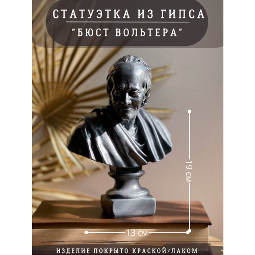 Статуэтка бюст Вольтера серебристый цвет, 19 см, гипс, философ, писатель серебристый, серый, серебристый