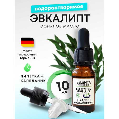 Эфирное масло Эвкалипта Эвкалипт Водорастворимое масло 10 мл 422₽