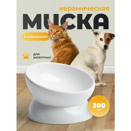 Керамическая миска для кошек и собак на подставке SSY
