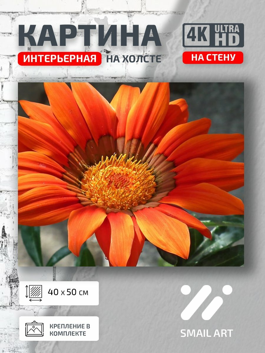 Картина на холсте интерьерная 40 на 50 на стену План Landscape для гостиной пейзаж интерьер