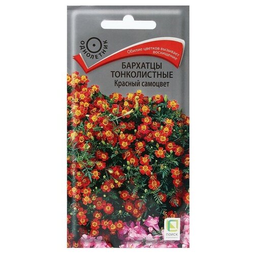 Семена цветов Бархатцы тонколистные Красный самоцвет 0,1 г семена бархатцы тонколистные старфайер микс